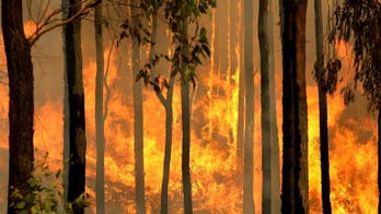 Donors help reopen axed Australian climate watchdog