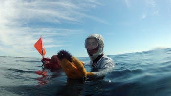 Japan's ageing 'ama' divers defy tide of time