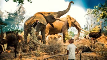 World's largest wildlife museum opens ahead of National Hunting and Fishing Day