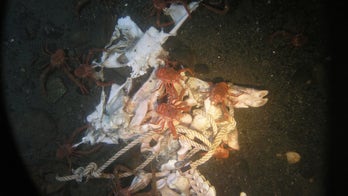What happens to a dead body in the ocean?