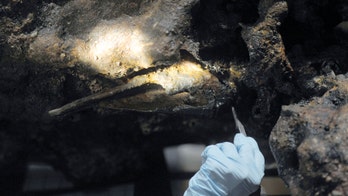 Museum to discuss efforts to see if bones belong to pirate