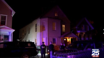 Massachusetts boy, 7, mauled by pit bulls, cops say