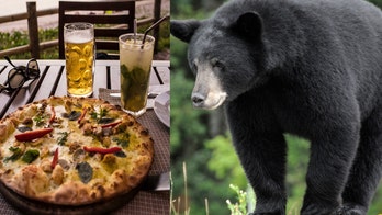 Bear steals pizza from Tennessee restaurant customers dining on patio