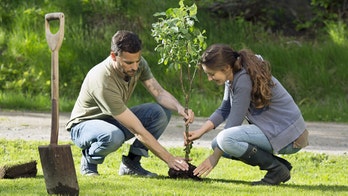 5 Landscape Renovations That Really Pay Off (and 1 That Won't)