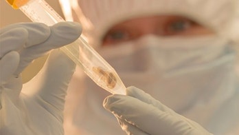 Scientists discover ancient plague DNA in teeth, warn of future outbreaks