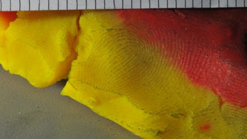 Fingerprint in Play-Doh leads Massachusetts police to suspected shoplifter