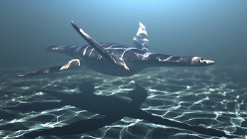 Ancient marine reptiles flew through the water