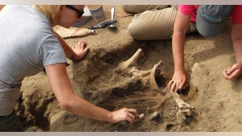 Archaeologists discover evidence of original 1620 Plymouth settlement