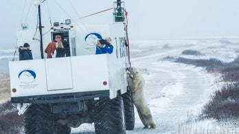 Polar bears on Google Maps! Street View comes to the Arctic