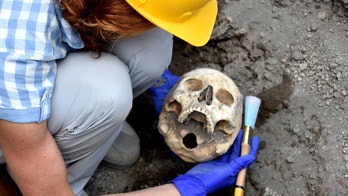 Archaeologists have discovered the 'crushed' Pompeii man's skull, and it will surprise you