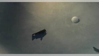 Flying catfish lands in Florida man’s swimming pool