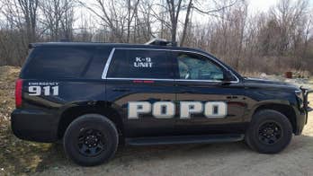 Michigan police department's photoshopped patrol car post goes viral, sparks mixed reactions