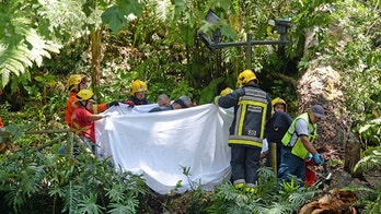 Baby, 2 women among 13 killed by tree on Portuguese island
