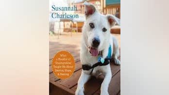 'The Possibility Dogs' by Susannah Charleson