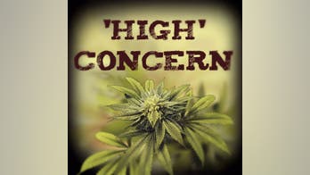 Study says regular pot use affects the brain