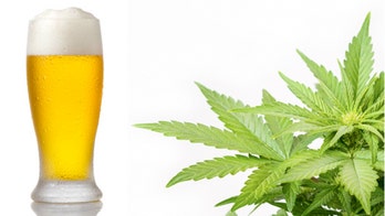 Pot beer could be next high for some home brewers