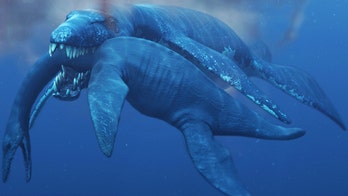 Ancient 'Predator X' sea monster named