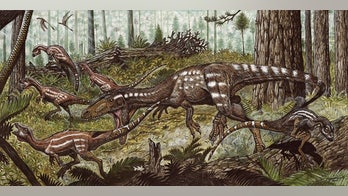 Newfound South American predator snacked on little dinosaurs
