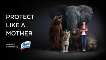Lysol celebrates moms with 'Protect Like a Mother' exhibition