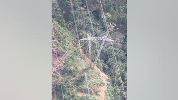 Downed tree in Puerto Rico knocks out power to almost a million customers