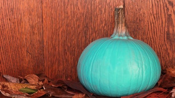What teal Halloween pumpkins mean for certain trick-or-treaters