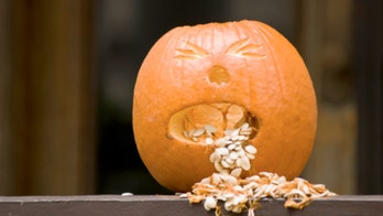 This is what happened when I lived off pumpkin spice for a day