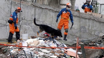 Hero dog saves lives following earthquake in Mexico