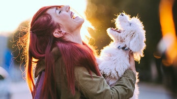 California hotel offers puppy cuddles on demand