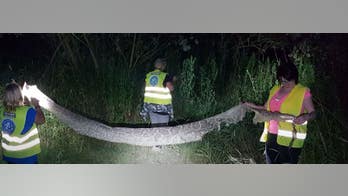 Search for 18-foot python that escaped transfixes Poland