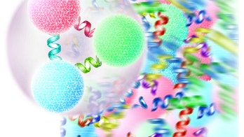 Hints of mysterious particle detected in 'Big Bang soup'