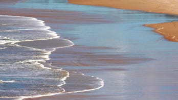 Australian rapper allegedly skips out on dinner bill, jumps into ocean