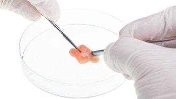 The future of high-tech meat substitutes