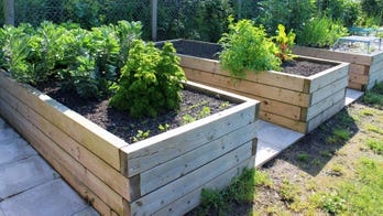 Get the Most Out Of Your Raised Bed Garden