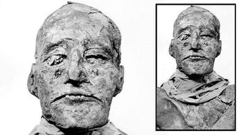 Mummy murder mystery solved