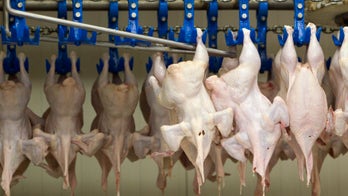 US reforms poultry inspections for the first time in 50 years