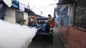 Mosquito expert: Washington downplaying Zika virus threat to US