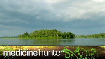 Natural Healing Remedies From the Amazon