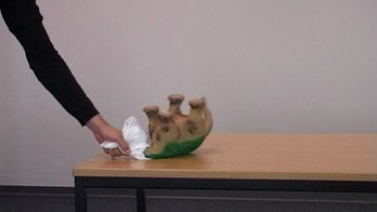 Humans show empathy for robots