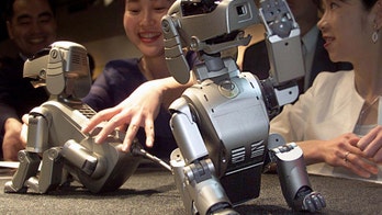 Robot dogs capable of forming emotional bonds, maker claims