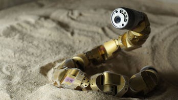 Snake robots! Slithering machines could aid search-and-rescue efforts