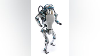 This humanoid Atlas robot can take a punch