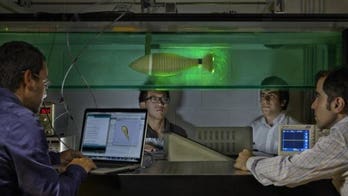 US Navy is sponsoring fish robot project to help develop underwater vehicles