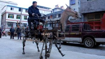 Chinese retiree designs a robot horse