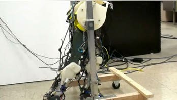 Robotic legs mimic how babies walk