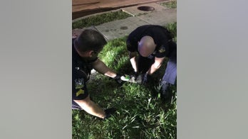 Kentucky cops free raccoon's head from peanut butter jar