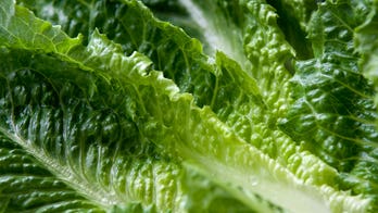 Experts warn against romaine after E. coli outbreak in US and Canada