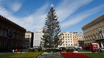 Rome's Christmas tree cost over $50,000 but people can't stop making fun of it
