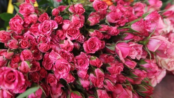 ӣ����Ƶ Poll: No love connection across the aisle