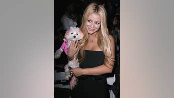 'Jersey Shore' star Pauly D and singer Aubrey O'Day call it quits again