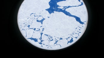 UMaine professor dies conducting research in Antarctica